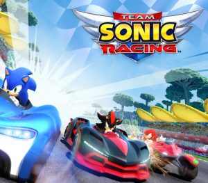 Team Sonic Racing EU Nintendo Switch CD Key